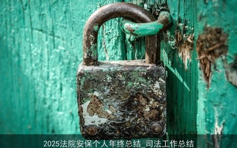 2025法院安保个人年终总结_司法工作总结