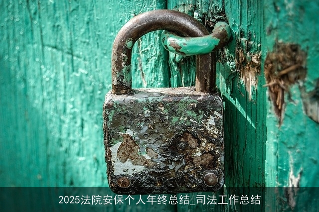 2025法院安保个人年终总结_司法工作总结