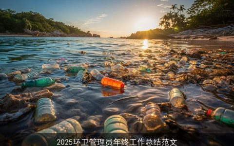 2025环卫管理员年终工作总结范文