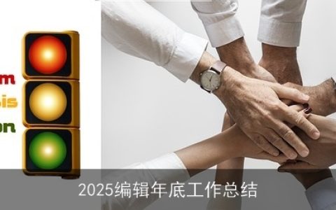 2025编辑年底工作总结