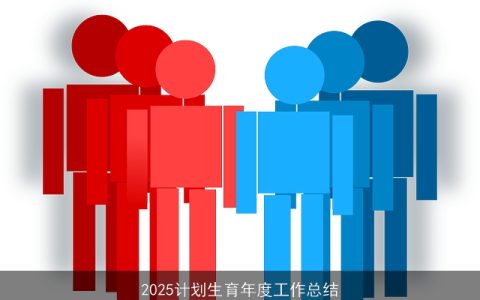 2025计划生育年度工作总结