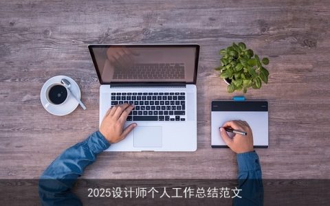 2025设计师个人工作总结范文