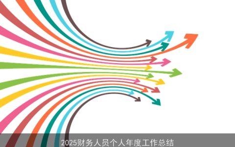 2025财务人员个人年度工作总结