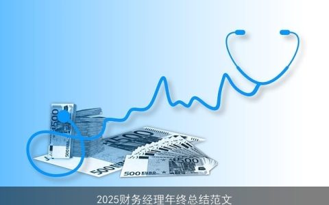 2025财务经理年终总结范文