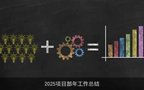 2025项目部年工作总结