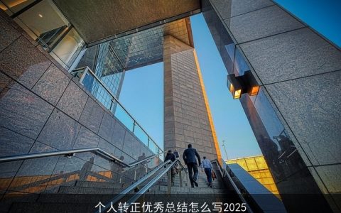 个人转正优秀总结怎么写2025