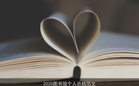 2025图书馆个人总结范文