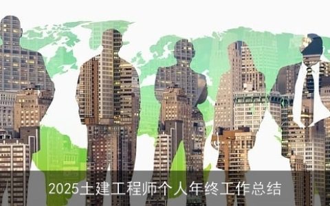 2025土建工程师个人年终工作总结