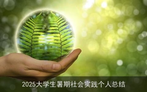 2025大学生暑期社会实践个人总结