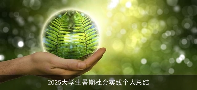 2025大学生暑期社会实践个人总结