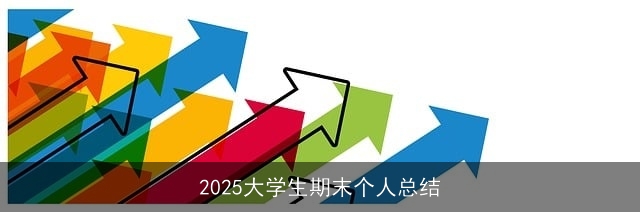 2025大学生期末个人总结