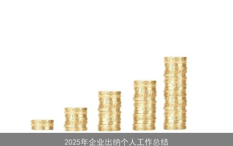 2025年企业出纳个人工作总结