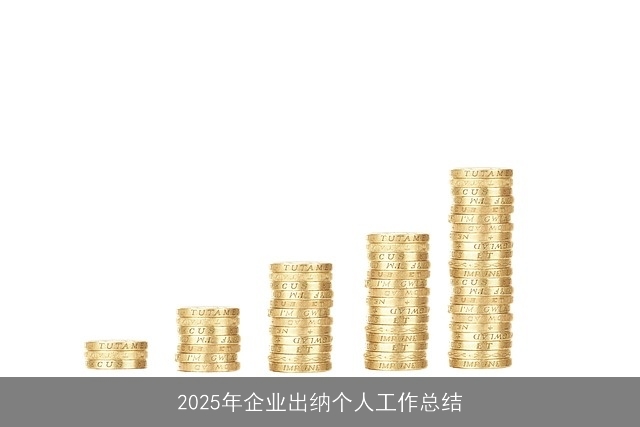 2025年企业出纳个人工作总结