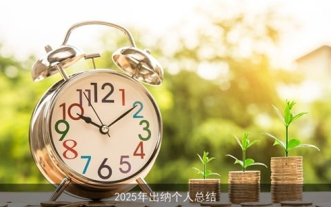 2025年出纳个人总结