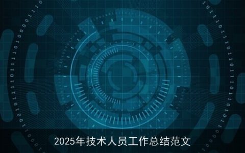 2025年技术人员工作总结范文