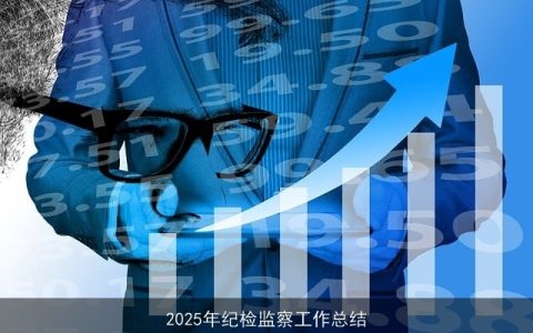 2025年纪检监察工作总结