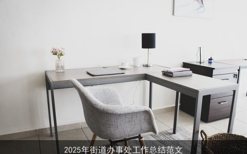 2025年街道办事处工作总结范文