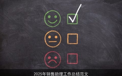 2025年销售助理工作总结范文