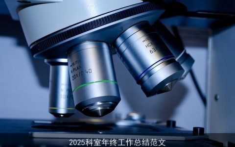 2025科室年终工作总结范文