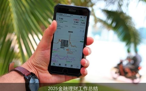 2025金融理财工作总结