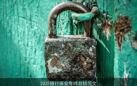 2025银行保安年终总结范文