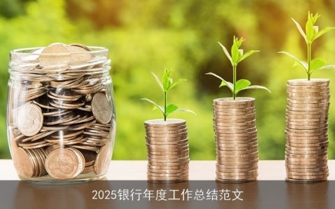 2025银行年度工作总结范文