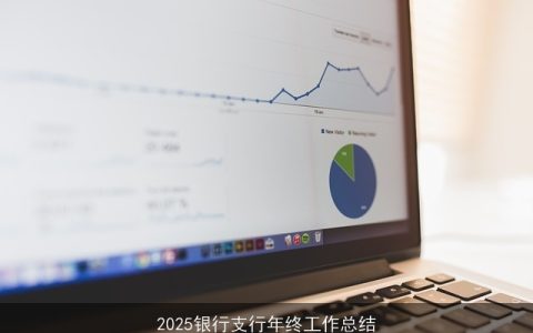 2025银行支行年终工作总结