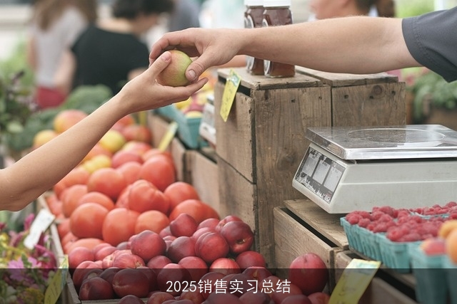 2025销售实习总结