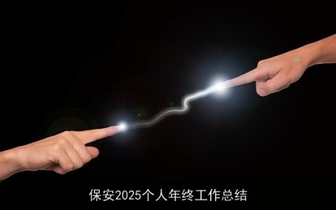 保安2025个人年终工作总结