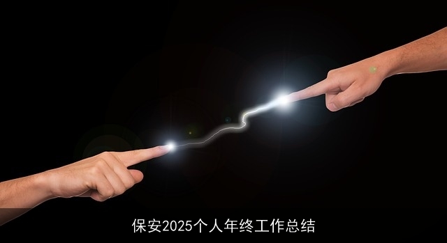 保安2025个人年终工作总结