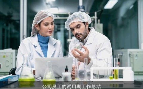 公司员工的试用期工作总结