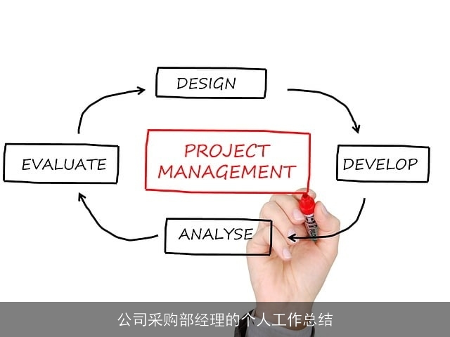 公司采购部经理的个人工作总结