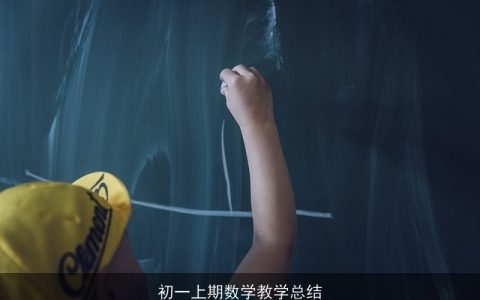 初一上期数学教学总结