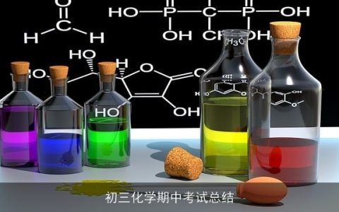 初三化学期中考试总结