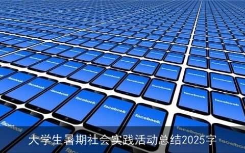 大学生暑期社会实践活动总结2025字