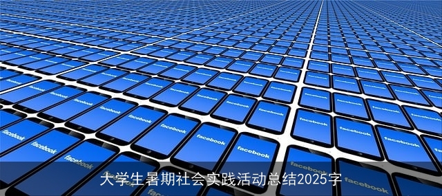 大学生暑期社会实践活动总结2025字