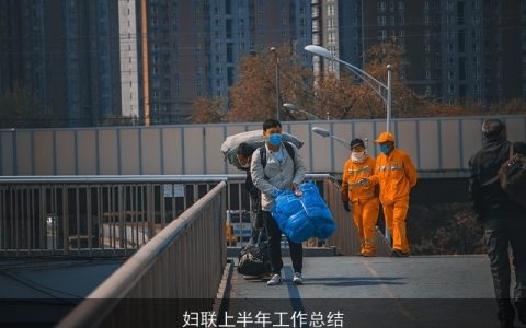 妇联上半年工作总结