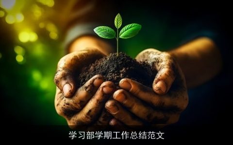 学习部学期工作总结范文