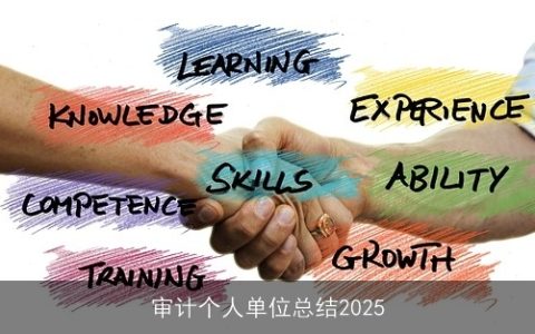 审计个人单位总结2025