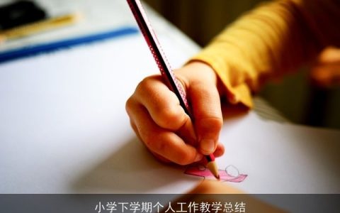 小学下学期个人工作教学总结