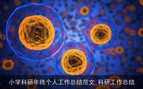 小学科研年终个人工作总结范文_科研工作总结