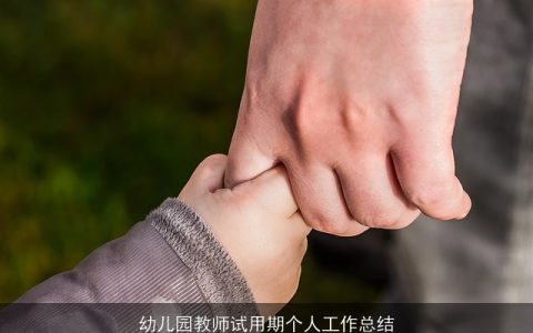 幼儿园教师试用期个人工作总结