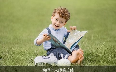 幼师个人师德总结