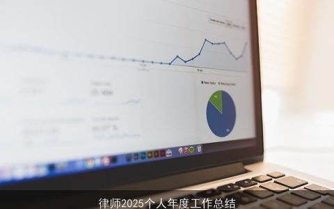 律师2025个人年度工作总结