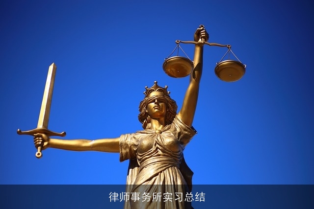 律师事务所实习总结