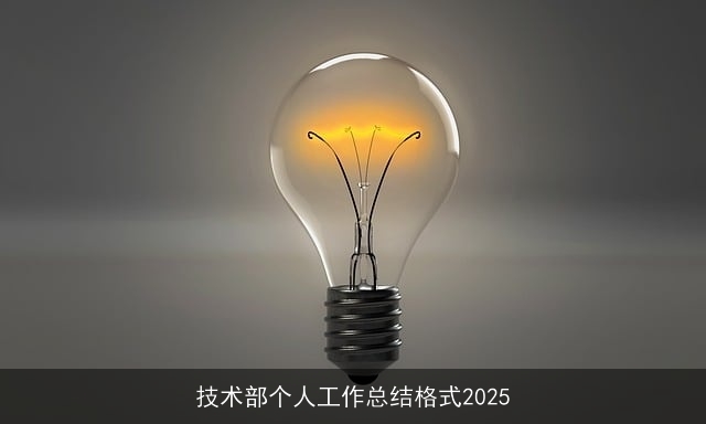 技术部个人工作总结格式2025