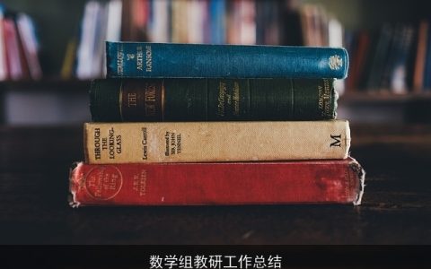 数学组教研工作总结