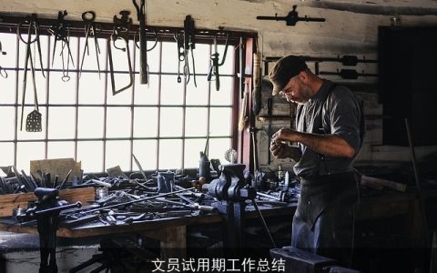 文员试用期工作总结