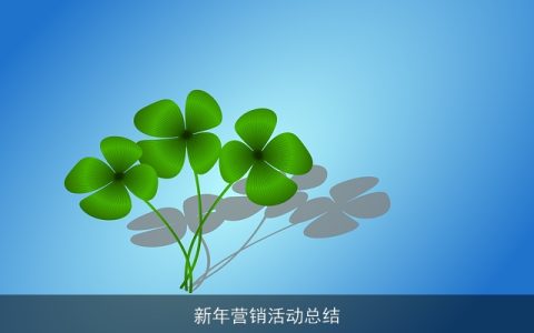 新年营销活动总结