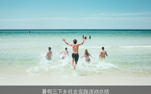 暑假三下乡社会实践活动总结